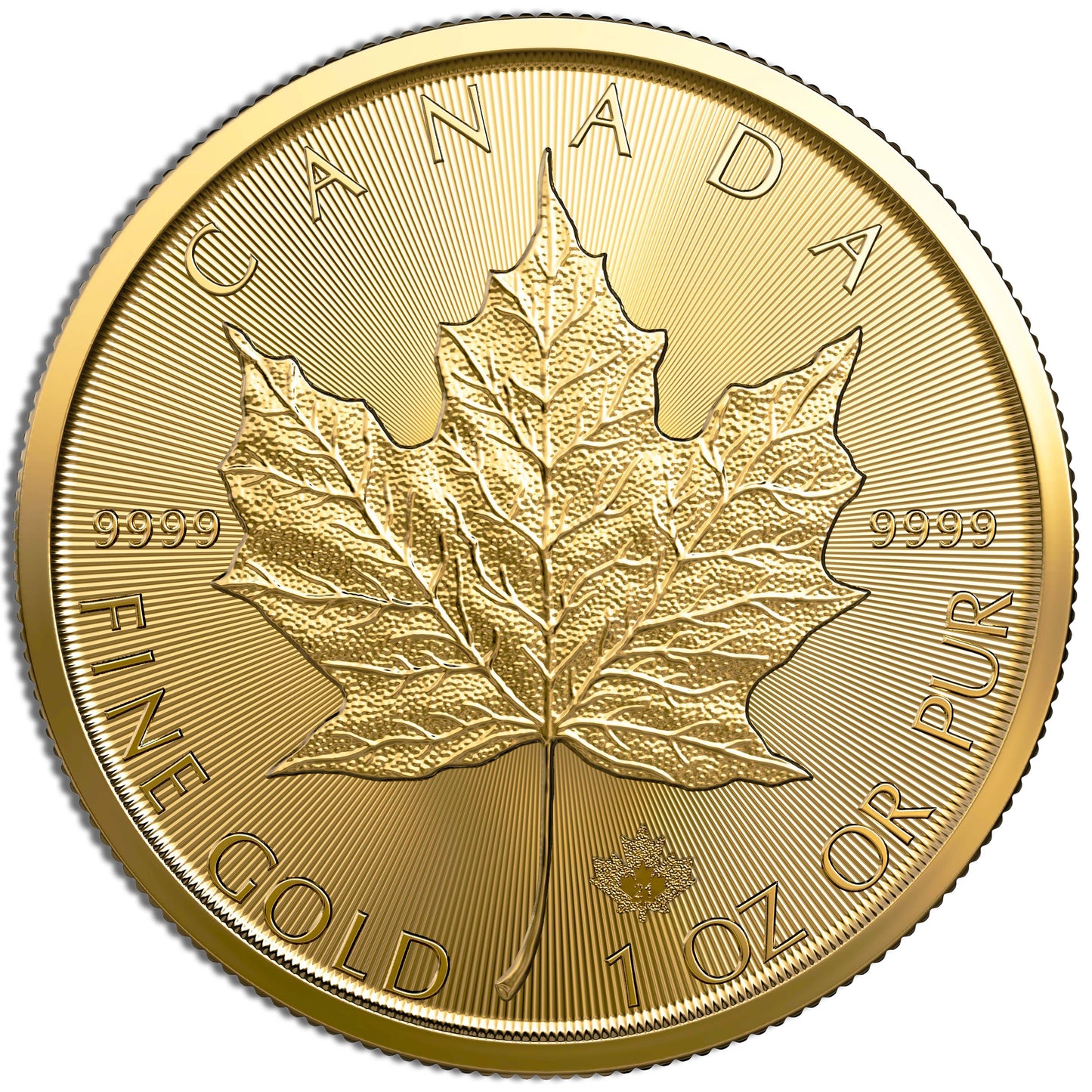one ounce of Canadian Gold Maple leaf coin uncirculated BU condition